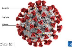 Tájékoztató az új koronavírus betegséggel (COVID-19) kapcsolatban   