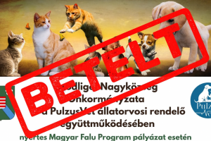 Pályázat ivartalanításra