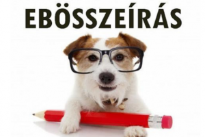 Ebösszeírás 2026.