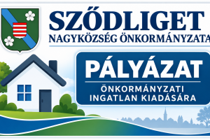 Pályázat (versenytárgyalás) az önkormányzat tulajdonát képező ingatlan bérbeadásáról. 