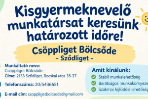 Kisgyermeknevelő munkatársat keresünk határozott időre.